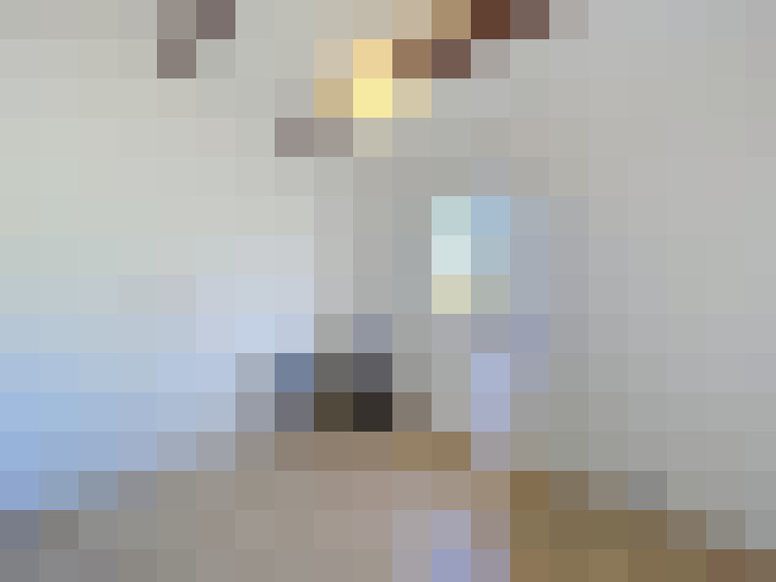  / #14