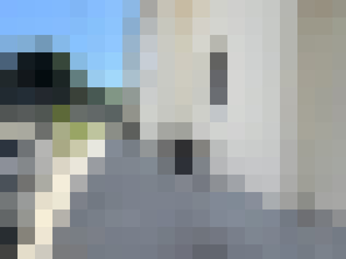  / #15