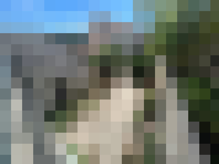  / #13