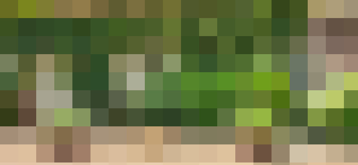  / #15