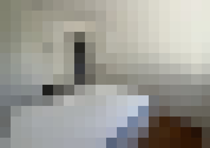  / #7