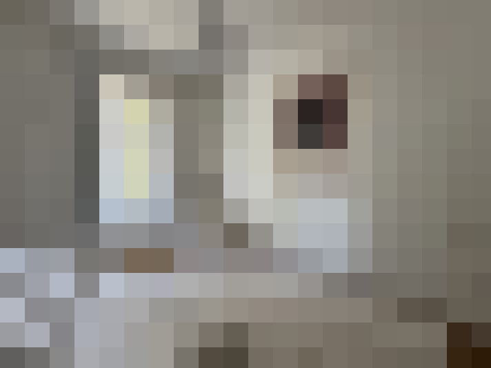  / #16