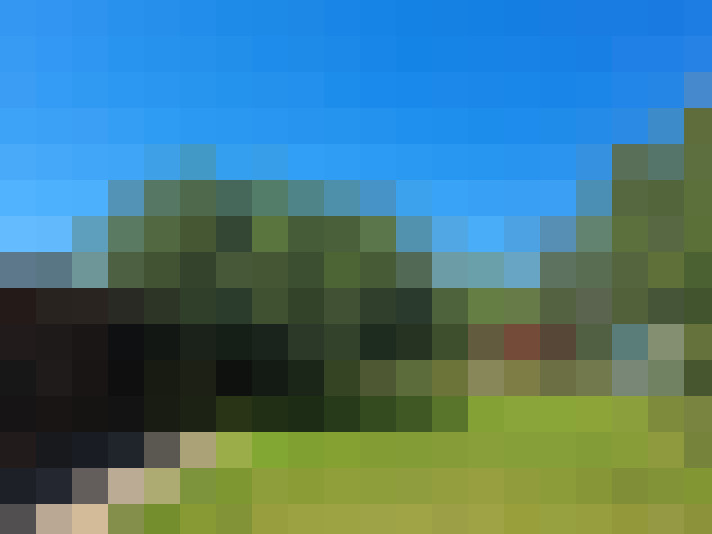  / #10