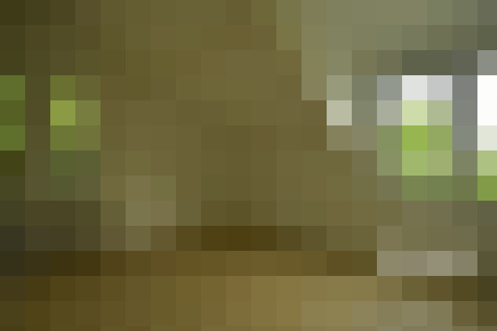  / #13