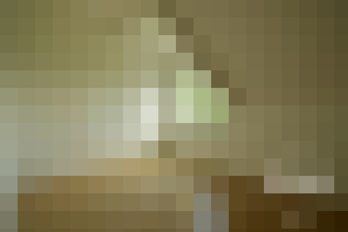  / #12