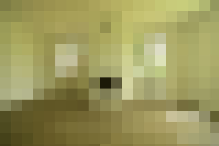  / #9