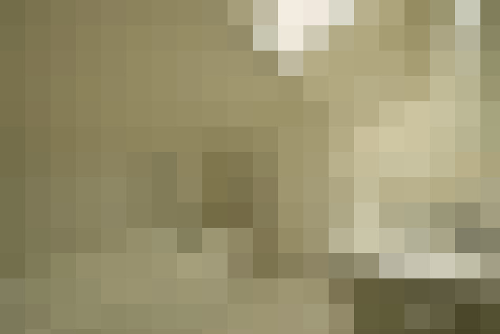  / #11