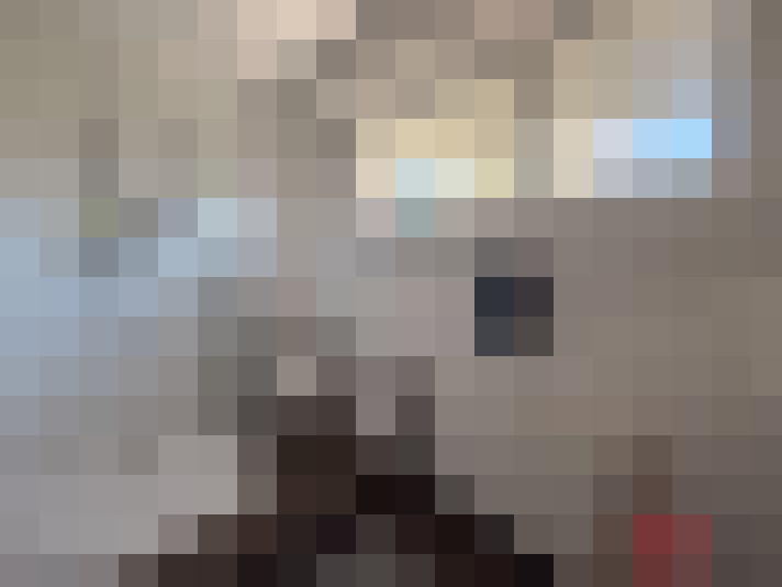  / #19