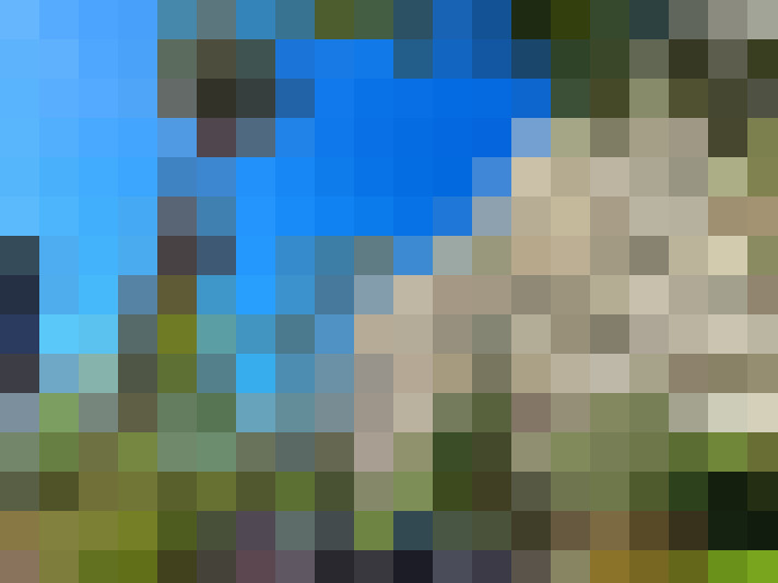  / #14