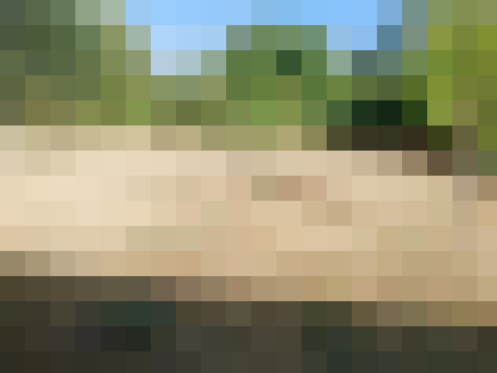  / #17