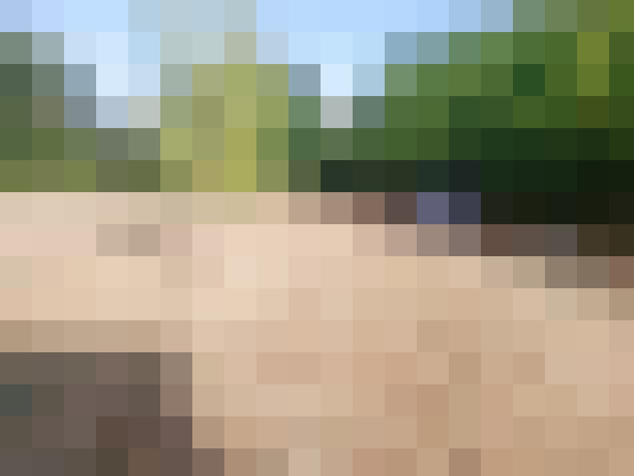  / #16