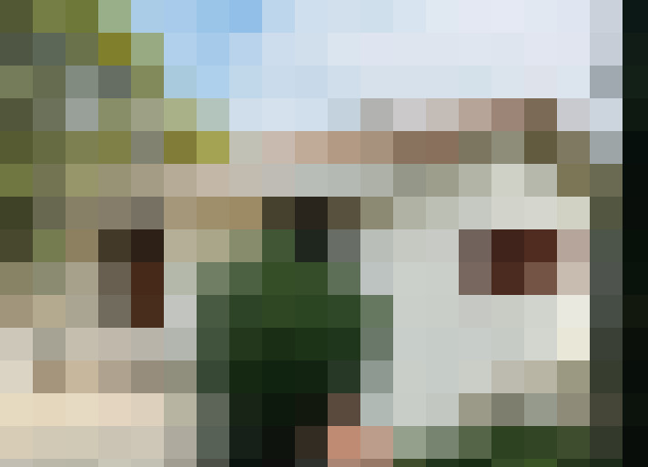  / #14