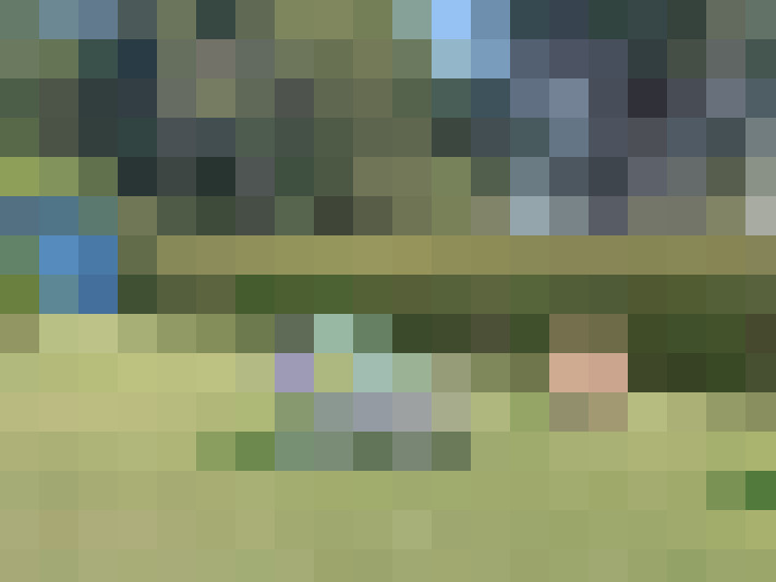  / #13