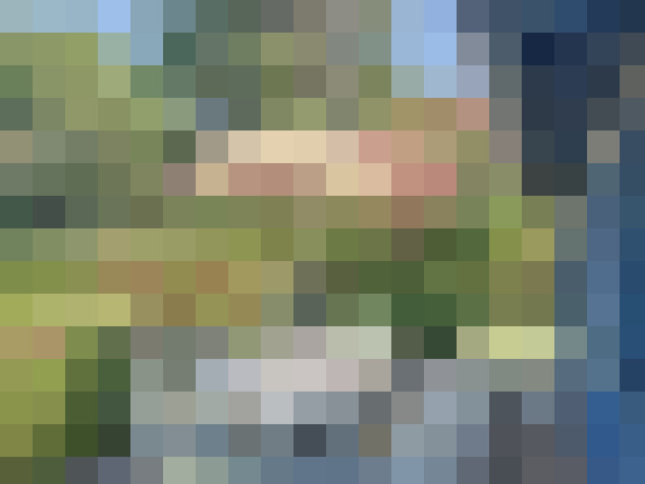  / #12