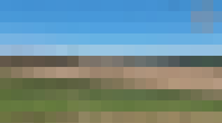  / #11