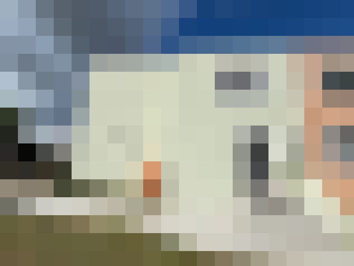  / #12