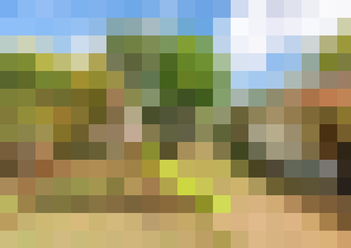  / #15