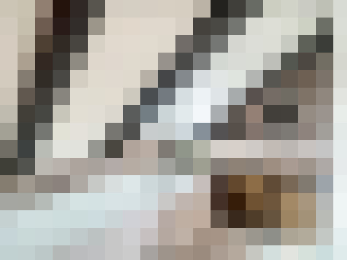  / #12