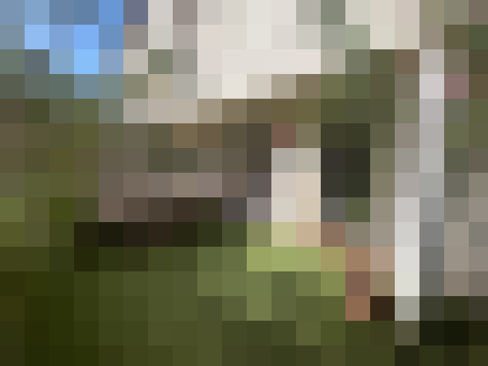  / #16