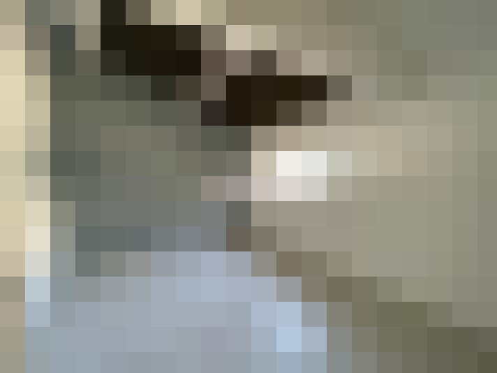  / #14