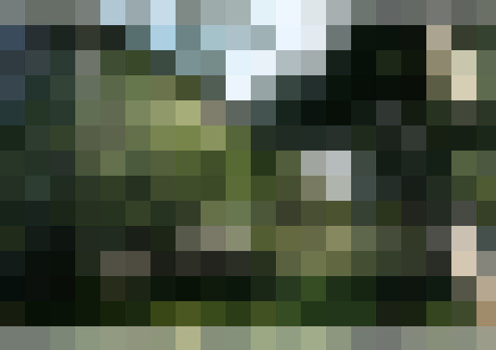  / #15