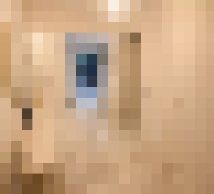  / #6