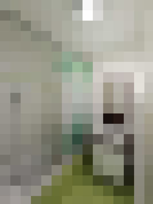  / #8