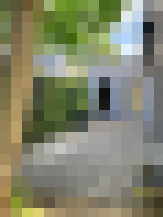  / #16