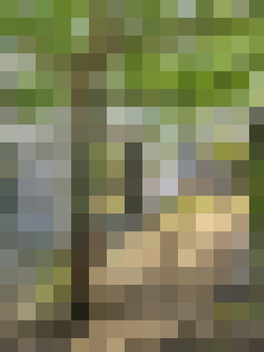  / #15