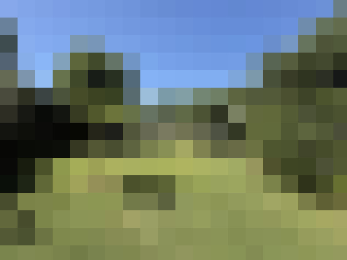  / #14