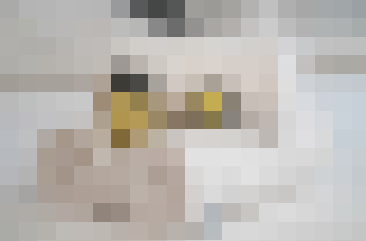  / #9