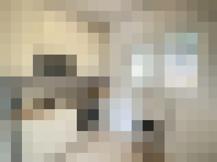  / #7