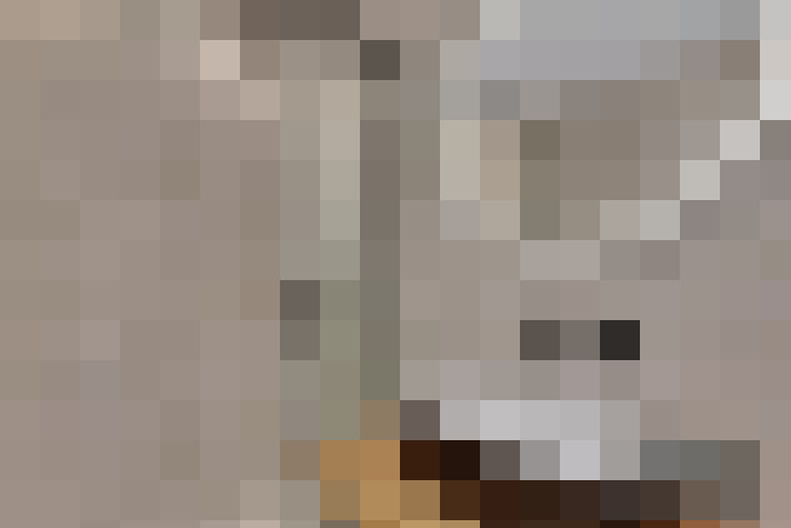  / #21