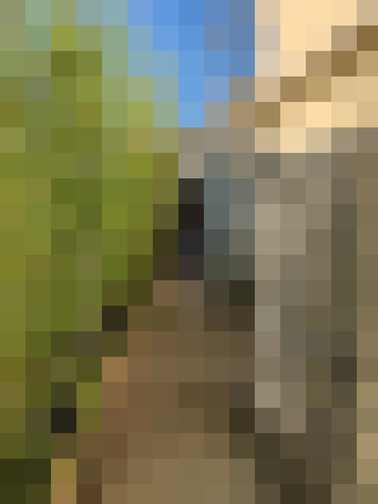  / #13