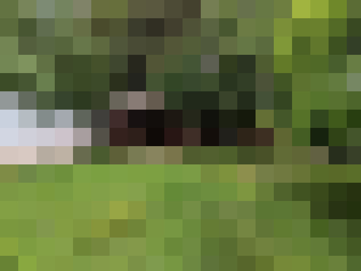  / #18