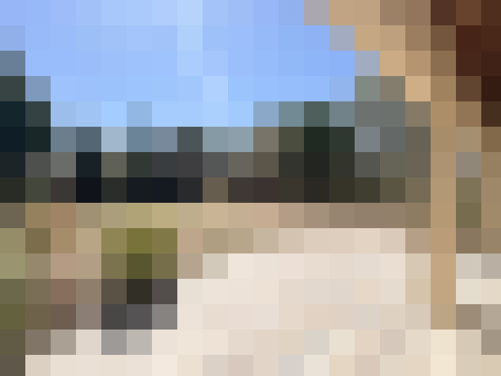  / #11