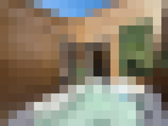  / #11