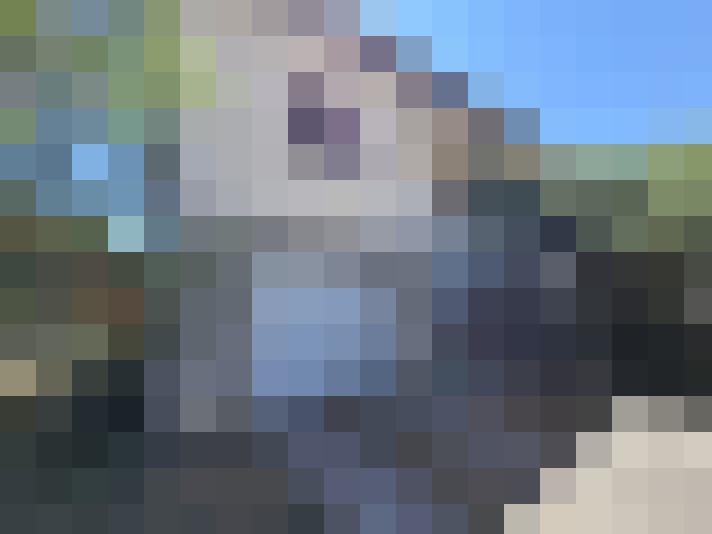  / #13