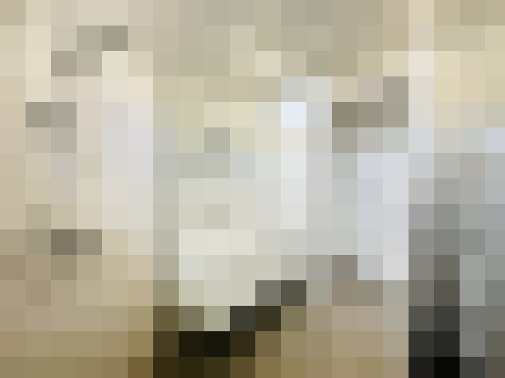  / #14