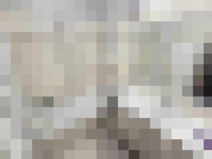  / #14