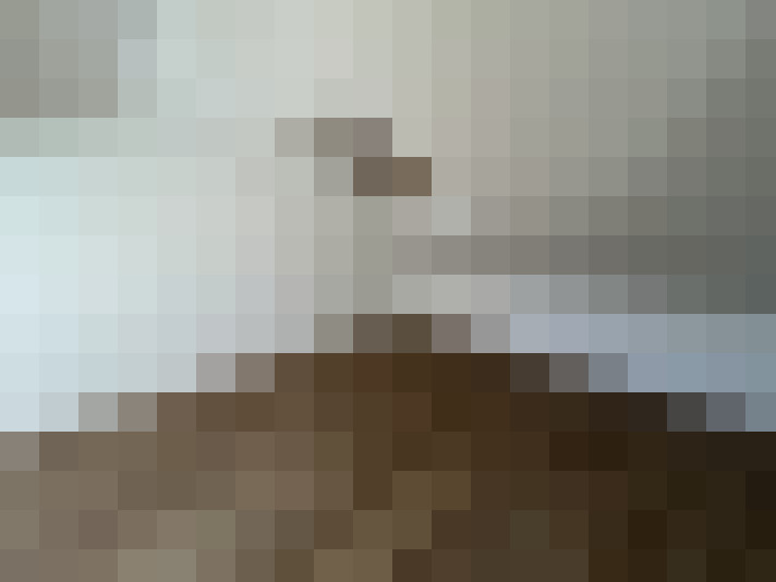  / #16