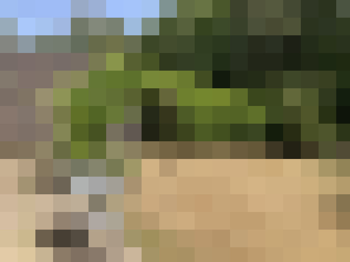  / #7