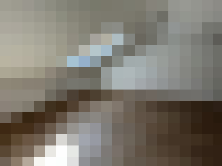  / #15