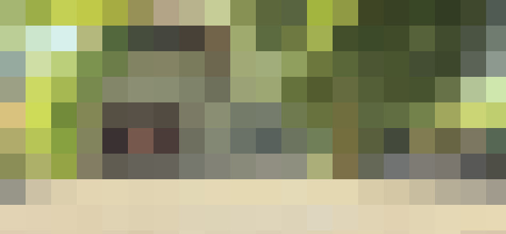  / #14
