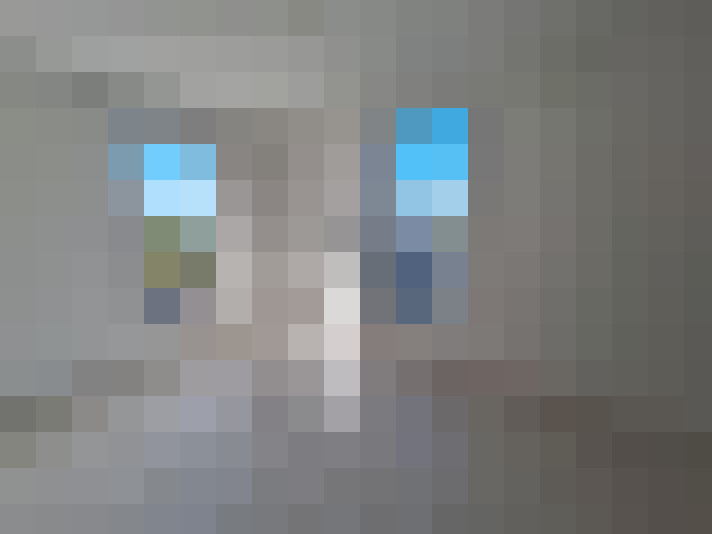  / #9