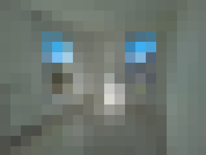  / #11