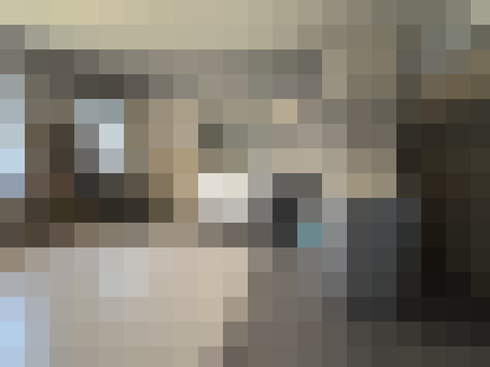 / #16