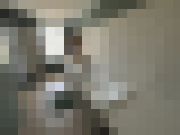  / #19