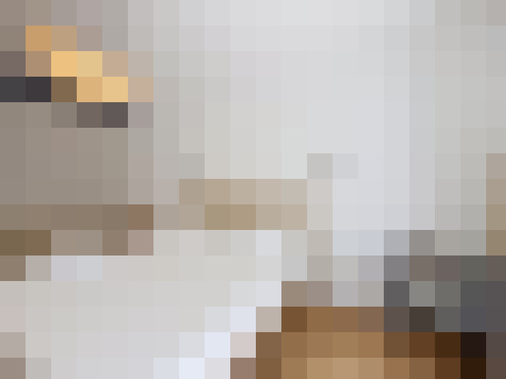  / #17