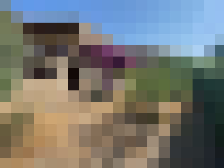  / #17